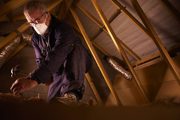 Best Insulation Materials and Products in Pasadena, MD